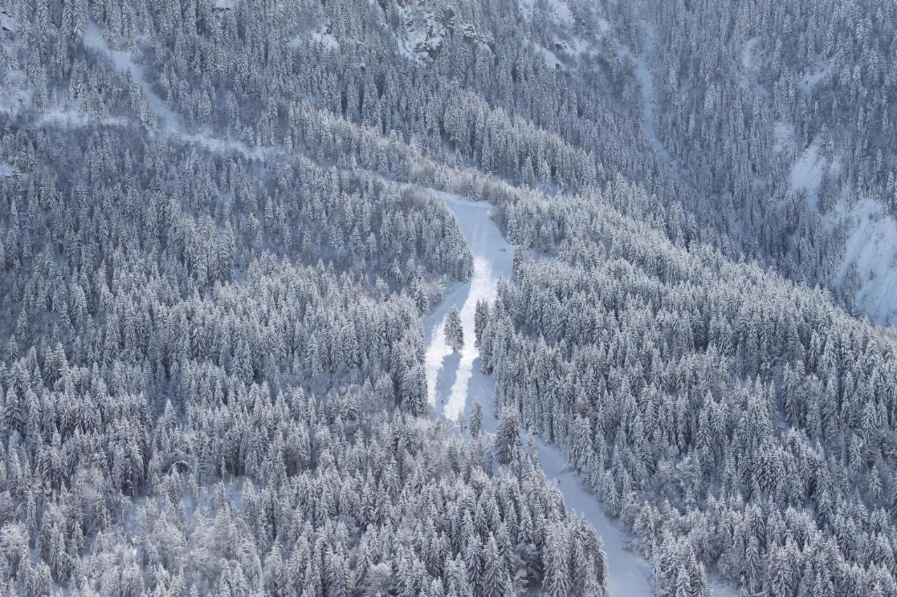 Hotel Le V De Vaujany Zewnętrze zdjęcie